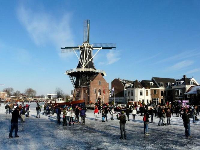 Feels Like Home Haarlem Bagian luar foto